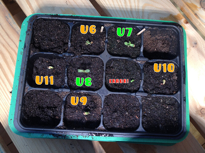 Growreport Bild 63