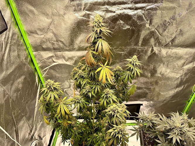 Growreport Bild 13