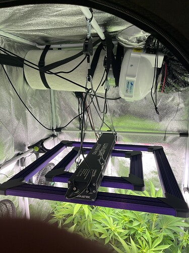 Growreport Bild 12