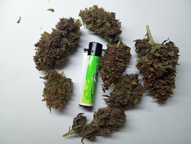 Growreport Bild 1