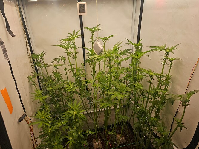 Growreport Bild 7