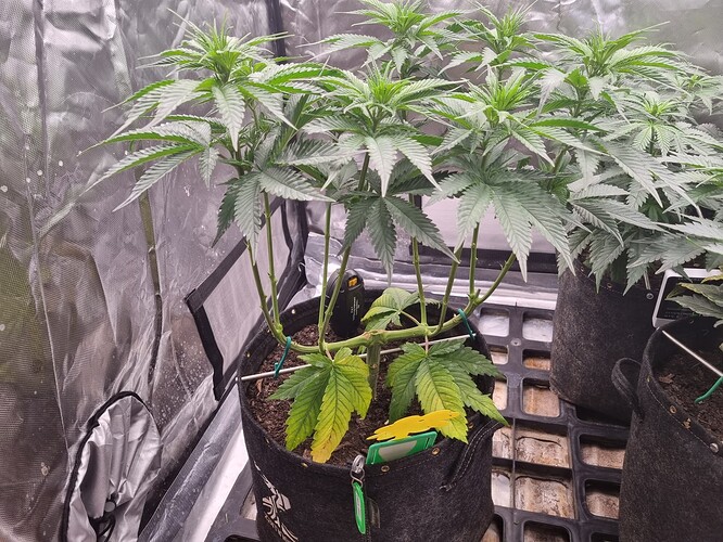 Growreport Bild 14