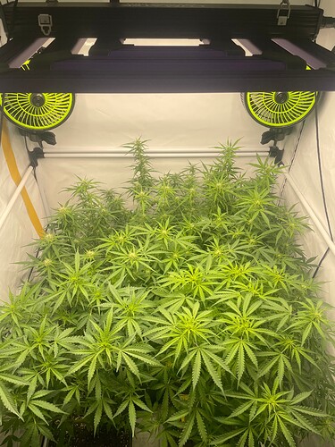 Growreport Bild 23