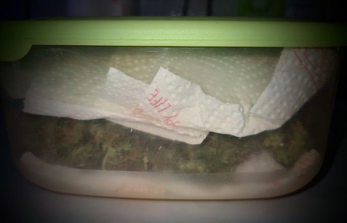 Growreport Bild 2