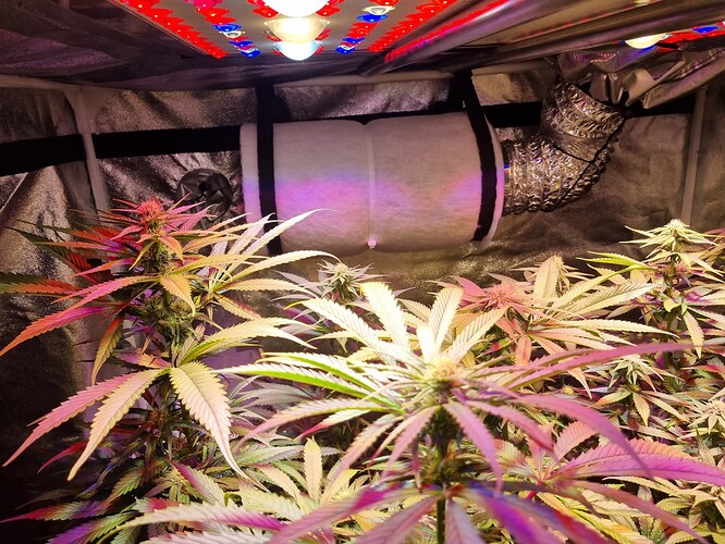 Growreport Bild 36