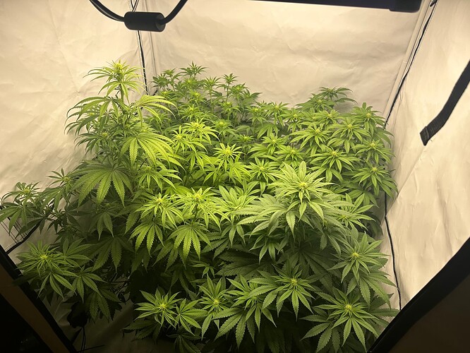 Growreport Bild 10