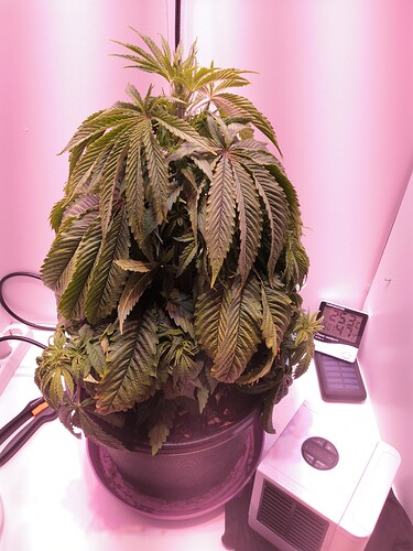 Growreport Bild 1