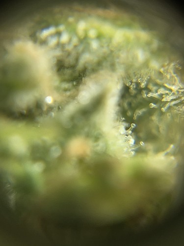 Growreport Bild 14