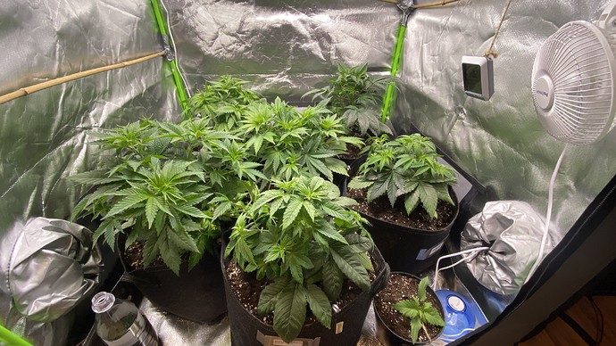 Growreport Bild 24