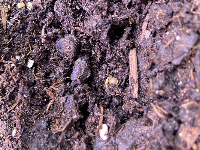 Growreport Bild 8