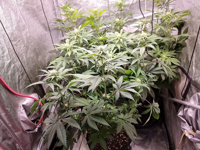 Growreport Bild 11