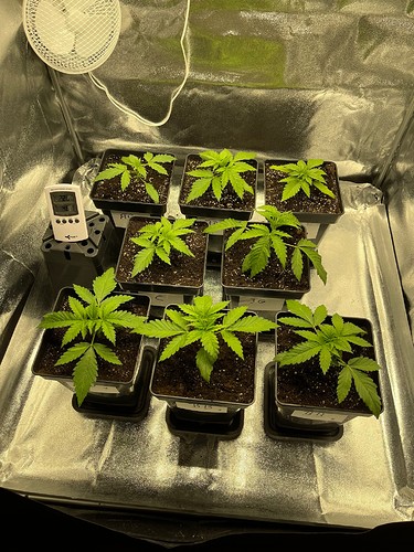 Growreport Bild 15