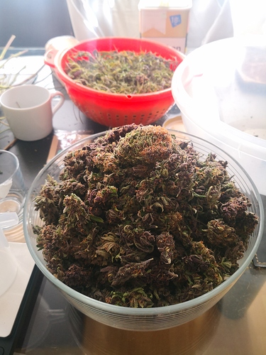 Growreport Bild 8