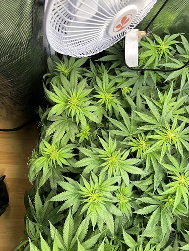 Growreport Bild 11