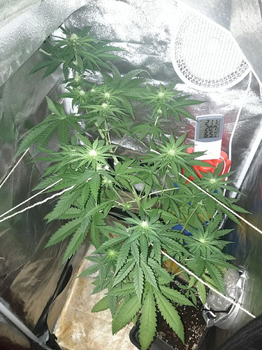 Growreport Bild 10