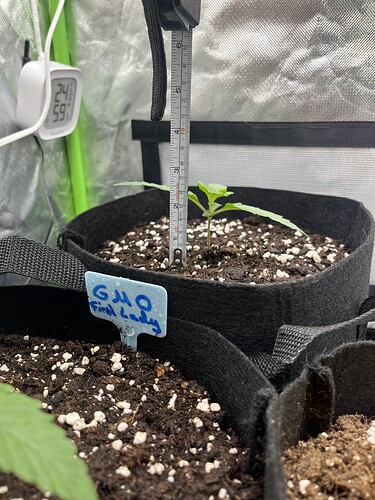 Growreport Bild 19