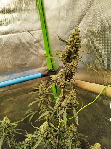 Growreport Bild 20
