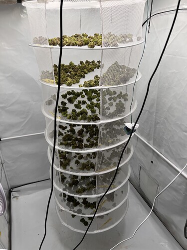 Growreport Bild 26