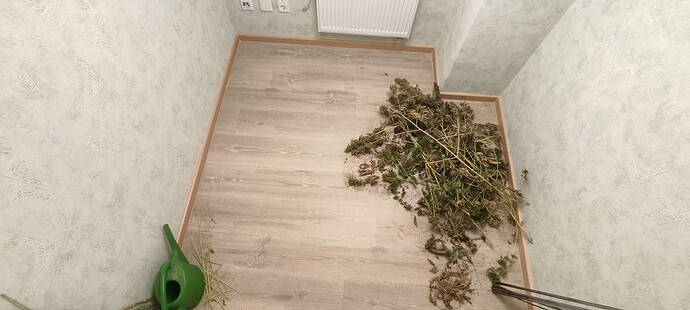Growreport Bild 5