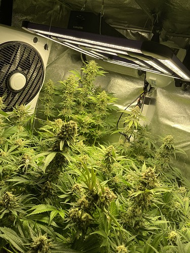 Growreport Bild 8
