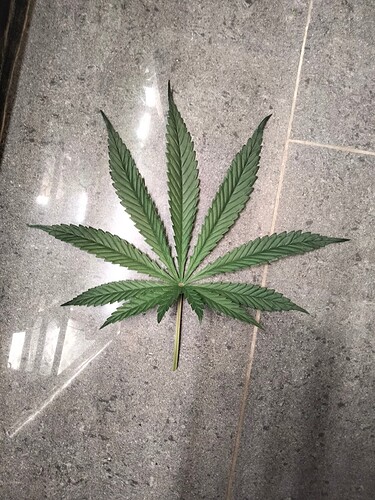 Growreport Bild 2