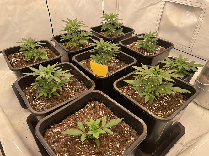 IMG_3209 - Kopie.HEIC