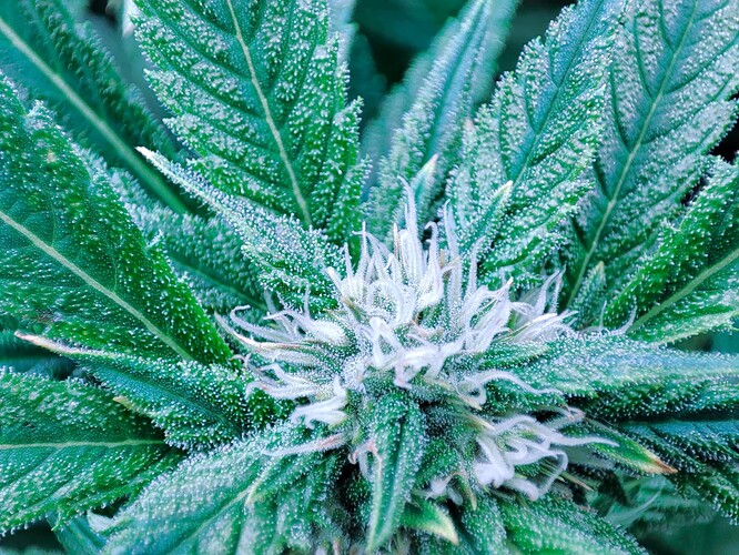 Growreport Bild 24