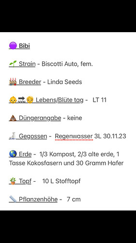 Growreport Bild 4