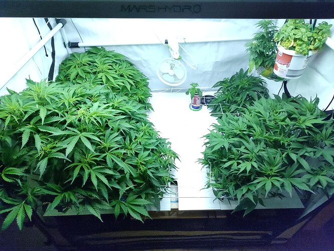 Growreport Bild 1