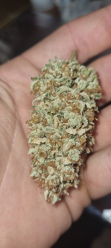 Growreport Bild 13