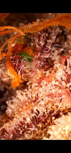 Growreport Bild 23
