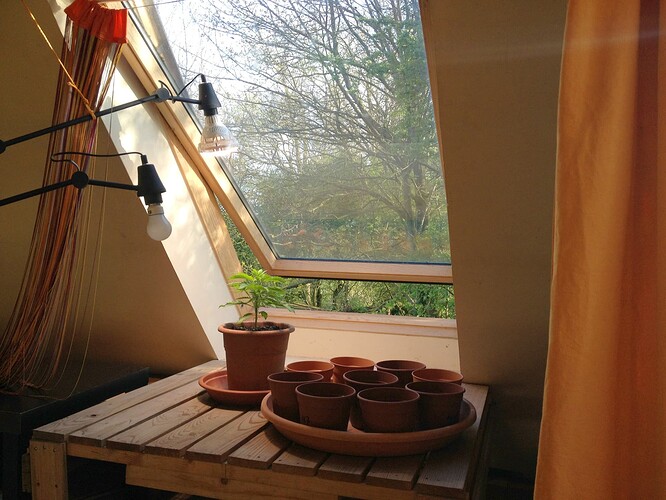 026_AnzuchtTischNeu1