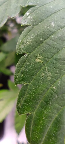 IMG_20221107_213613