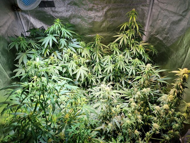 Growreport Bild 20