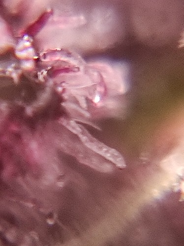 Growreport Bild 14