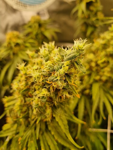 Growreport Bild 17
