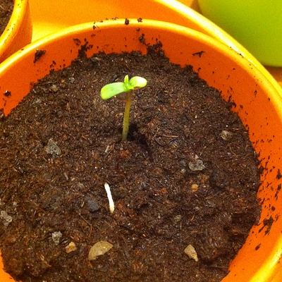 Growreport Bild 22