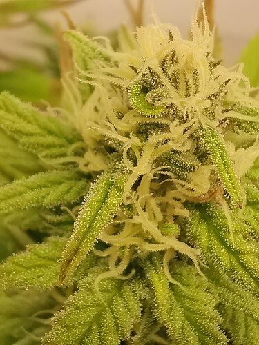 Growreport Bild 26