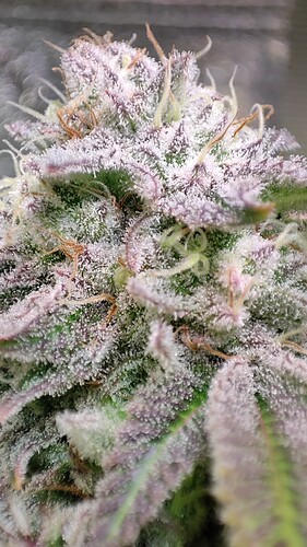 Growreport Bild 30