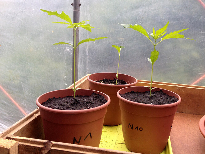 Growreport Bild 15