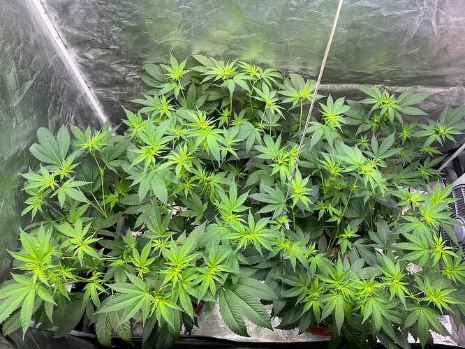 Growreport Bild 16