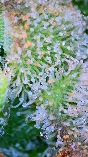 2022_06_20_17_54_41_024 - Copy