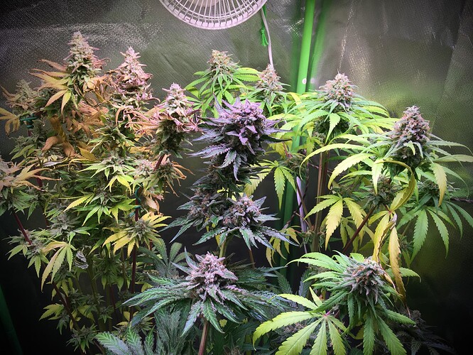 Growreport Bild 11