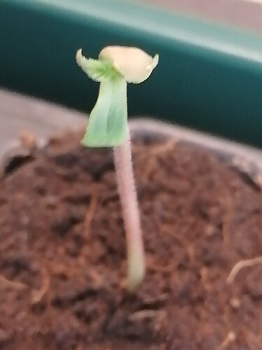 Growreport Bild 24
