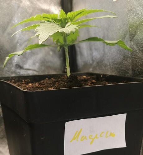 Growreport Bild 10