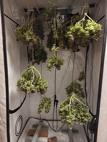 Growreport Bild 1
