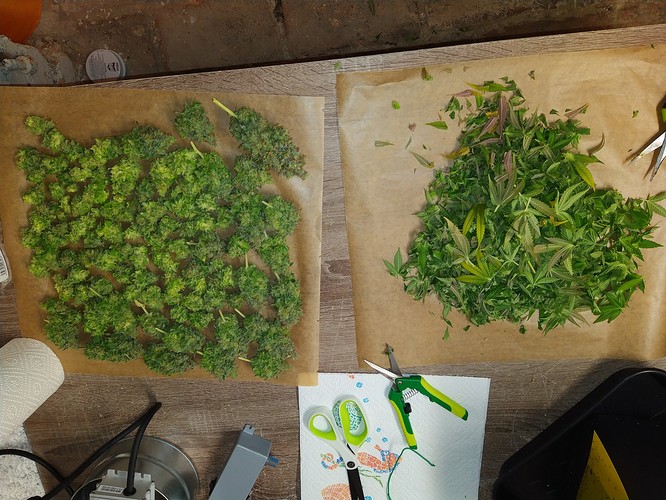 Growreport Bild 13