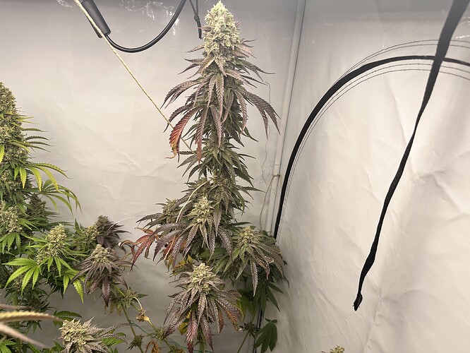 Growreport Bild 12