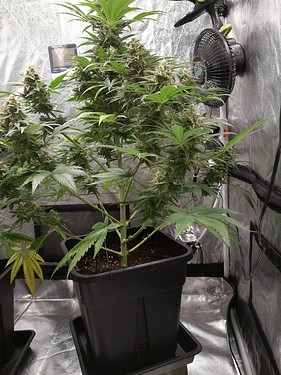 Growreport Bild 5