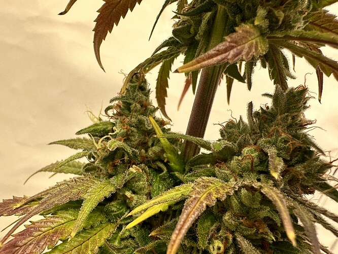 Growreport Bild 14